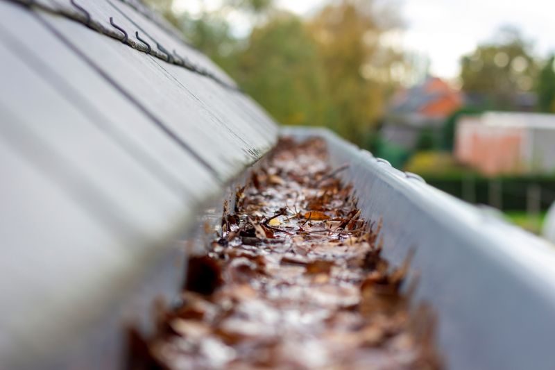 Clogged Gutters with Debris