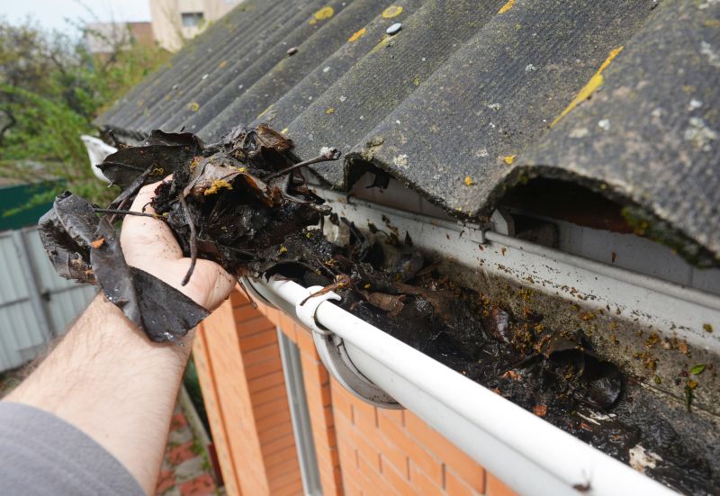 Debris Removal from Roof and Gutters